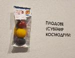Варна - Изложба “Космодрум” – космически истории от миналото