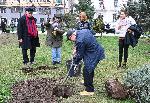 София - Първото дърво в „Гората на София филм фест“