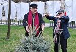 София - Първото дърво в „Гората на София филм фест“