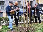София - Първото дърво в „Гората на София филм фест“