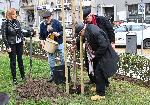София - Първото дърво в „Гората на София филм фест“