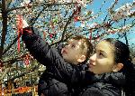 Настъпва астрономическата пролет