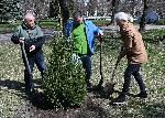 София – Гората на София филм фест