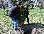 София – Гората на София филм фест