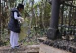 Плевен - Почистване