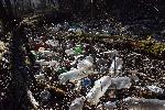 Панчарево - почистване на река Искър