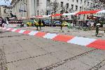 София - Засадиха фиданки на разбит тротоар