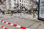 София - Засадиха фиданки на разбит тротоар
