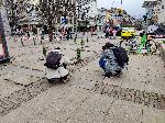 София - Засадиха фиданки на разбит тротоар