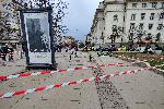 София - Засадиха фиданки на разбит тротоар