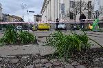 Засадиха пресен лук на разбит тротоар в центъра на София