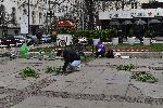 София - Разбит тротоар