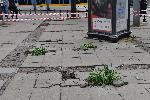 София - Разбит тротоар