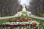 Варна  - Лалета в Морската градина