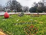 Варна  - Лалета в Морската градина