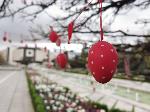 Великденско дърво украсиха до фонтаните на НДК