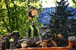 Във Варна дърво за малко не уби мъж пред общината