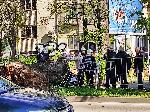 Варна - Дърво падна на оживен булевард