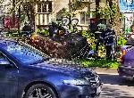 Варна - Дърво падна на оживен булевард