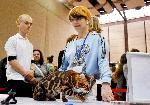 Варна - Фелиноложка изложба