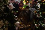 София - мощите на Свети Георги