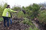 София - Протест - Боянско блато - Незаконно източване - Защитена зона