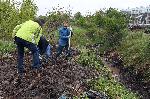София - Протест - Боянско блато - Незаконно източване - Защитена зона