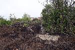 София - Протест - Боянско блато - Незаконно източване - Защитена зона
