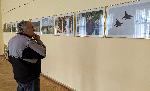Фотодесант подреди военен фотограф в Плевен
