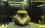 Бургас - Нощ на музеите - Откриване на изложба<br />
<br />
