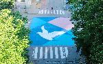 Варна  - Рисунки на асфалт<br />