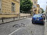София - Дупка на пътното платно