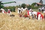 Ямбол - откриване на жътвата