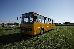 Село Брестовица, Пловдив - Втори събор на ретро автобуси