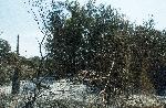 Силистра - щети след пожар в село Стрелково