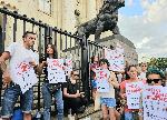 София - Национално шествие в подкрепа на момичето, малтретирано с макетен нож от насилник-националист