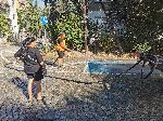 София - миене на улици