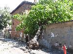 Буря изкорени дървета, отнесе покриви, счупи стълбове в Симеоновград