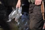 София - откриване на ловния сезон