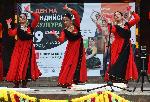 София - Ден на културата на Индия в Борисовата градина