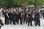 София - Лига на конференциите - фенове