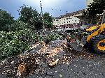 Хасково - Проливен дъжд с градушка