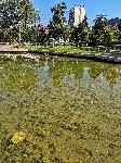Плевен - Почистване на Водната каскада