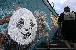 София - Първо издание на фестивала за графити и улично изкуство "Мостъ"