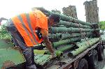 Царево - изграждане на мост