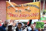 София - Протест на пчеларите