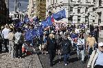 Лондон - Протест за порода кучета