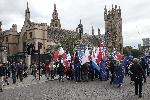 Лондон - Протест за порода кучета