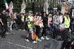 Лондон - Протест за порода кучета