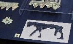 София - Изложба „Требенище. 105 години от откриването на некропола при Требенище. 1918 – 2023 г.“.